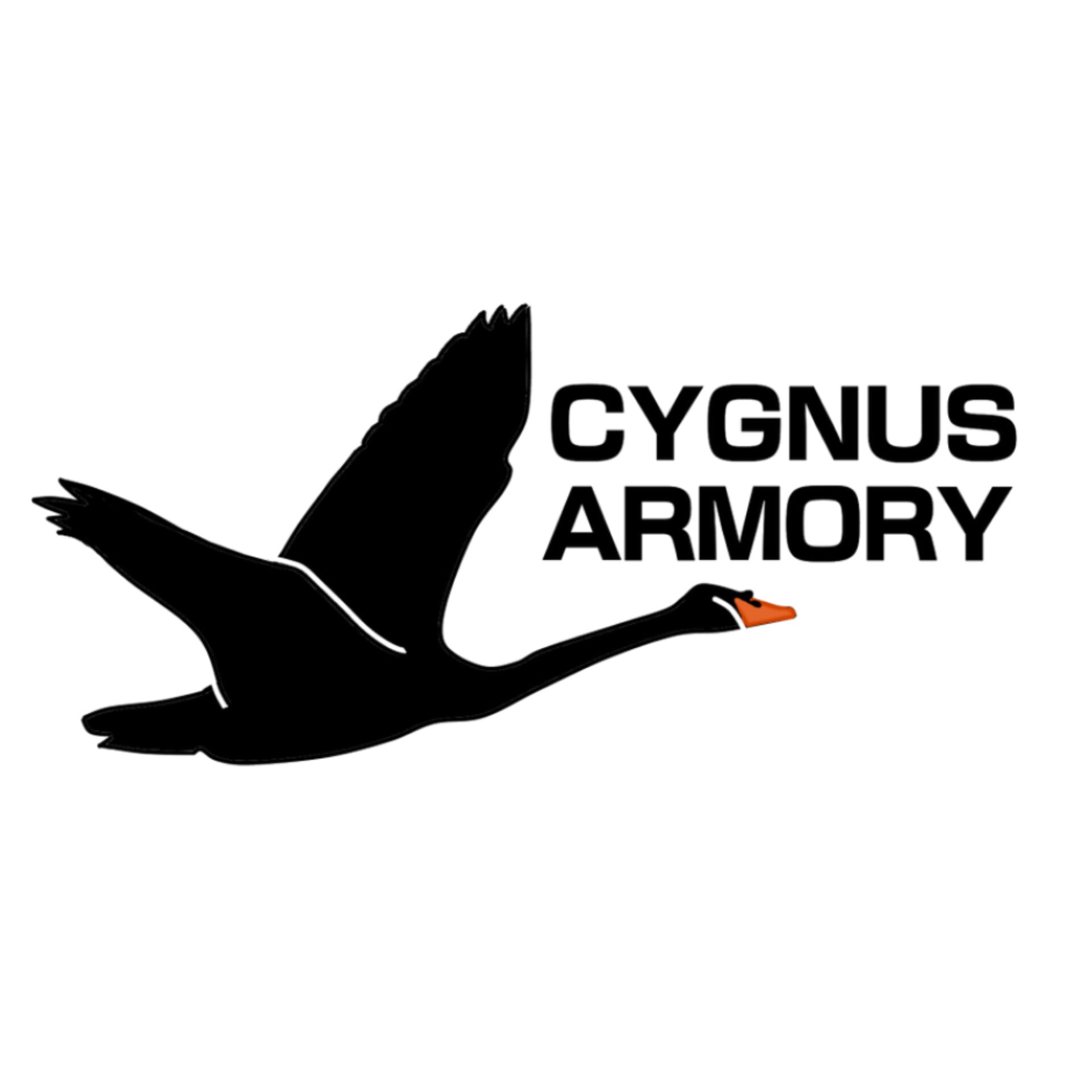 Cygnus Armory - FAST Helmet BC