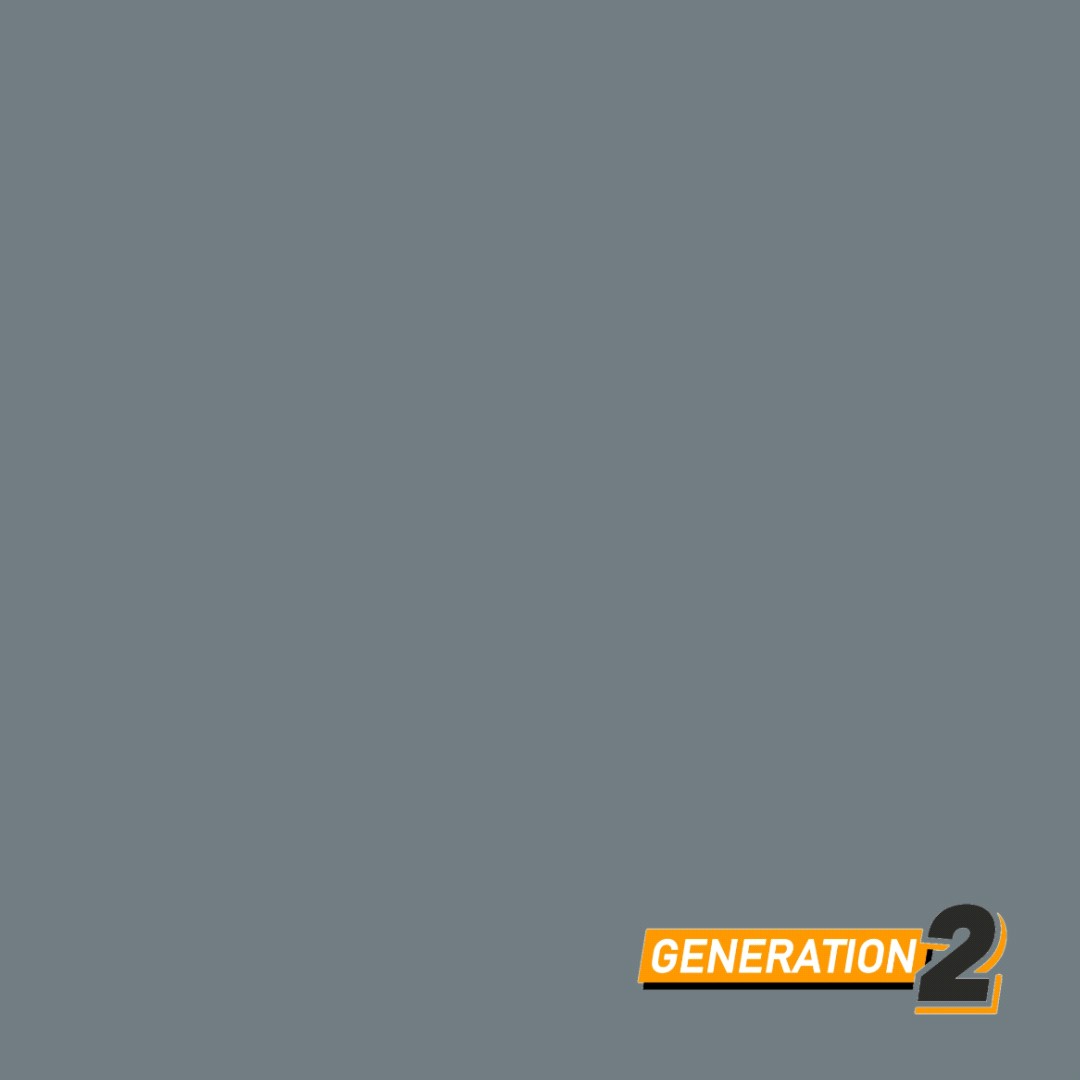 Loop - Wolf Gray